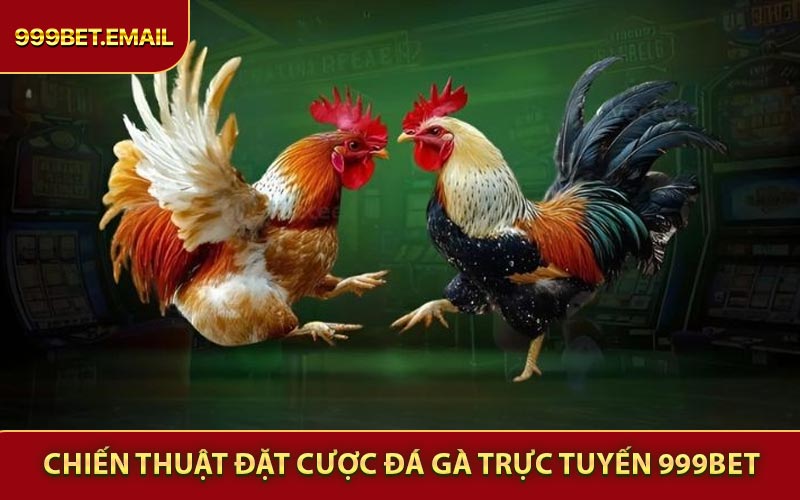 Chiến thuật đặt cược Đá Gà Trực Tuyến 999BET thông minh